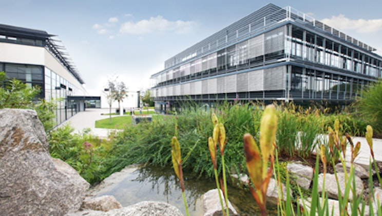 Mlp Campus Mlp Campus